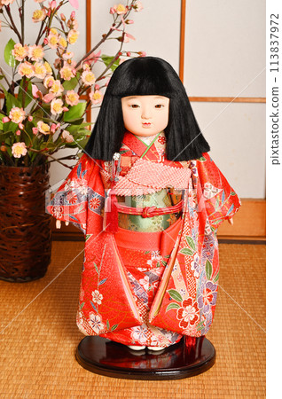 Ichimatsu doll standing in front 113837972