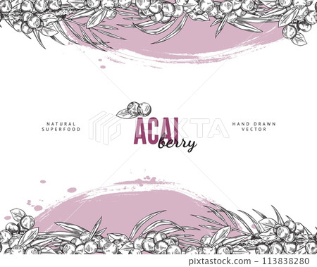 Seamless pattern border with Acai berries and leaves, vector engraved hand drawn natural fruit, antioxidant superfood Seamless pattern border with Acai berries and leaves, vector engraved hand drawn natural fruit, antioxidant superfood 113838280