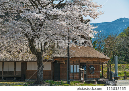 Spring scenery at the World Heritage site of Suganuma Gassho-style Village 113838365