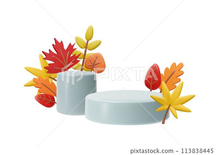 White podium stands with autumn leaves 3D style vector composition, volumetric pedestals scene, presentation platform White podium stands with autumn leaves 3D style vector composition, volumetric pedestals scene, presentation platform 113838445