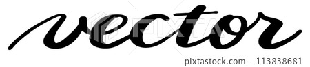Hand drawn "vector" lettering 113838681