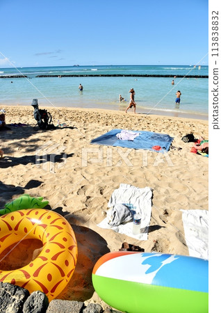 Holidays in Hawaii 113838832