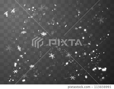 Vector Christmas scene with snowflakes and shimmering particles. 113838991