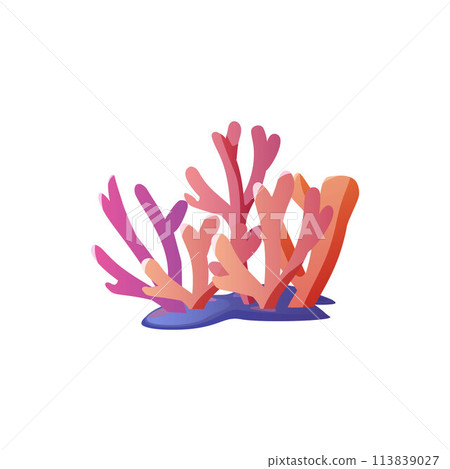 A colorful underwater world with sea corals in red, orange and purple tones A colorful underwater world with sea corals in red, orange and purple tones 113839027