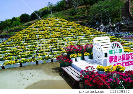 Nagashima Yumeoi Flower Festival Material Background Nagashima Yumeoi Flower Festival Material Background 113839532