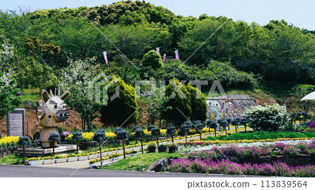 長島夢追花節素材背景 長島夢追花節素材背景 113839564