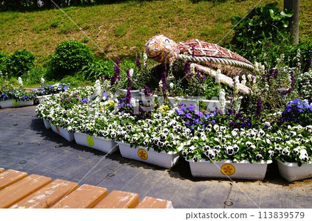 Nagashima Yumeoi Flower Festival Material Background 113839579