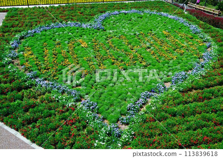 Nagashima Yumeoi Flower Festival Material Background Nagashima Yumeoi Flower Festival Material Background 113839618