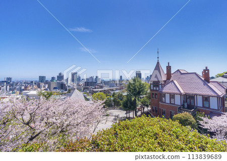神戶異人館週邊的街景:櫻花盛開 神戶異人館週邊的街景:櫻花盛開 113839689