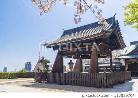 Spring in Kobe: Kitano Tenmangu Shrine, cherry blossoms in full bloom and the worship hall Spring in Kobe: Kitano Tenmangu Shrine, cherry blossoms in full bloom and the worship hall 113839704