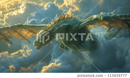 dragon flies dragon flies 113839777