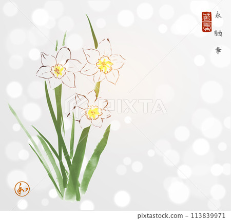 Ink painting of daffodiles on shimmered white background. Traditional oriental ink painting sumi-e, u-sin, go-hua. Hieroglyphs - eternity, freedom, happiness, harmony Ink painting of daffodiles on shimmered white background. Traditional oriental ink painting sumi-e, u-sin, go-hua. Hieroglyphs - eternity, freedom, happiness, harmony 113839971