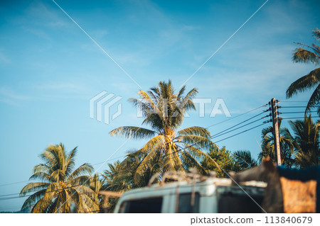 Coconut trees and sky at the sea 113840679