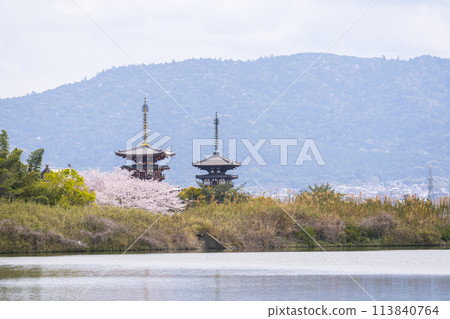 從西之京禦池看到的藥師寺風景,櫻花盛開 從西之京禦池看到的藥師寺風景,櫻花盛開 113840764
