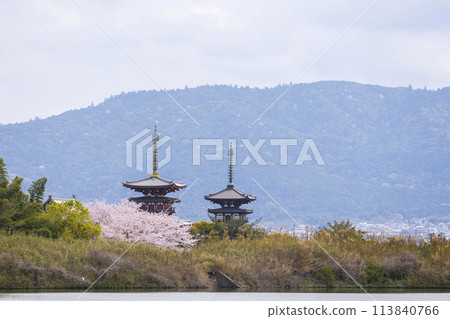 從西之京禦池看到的藥師寺風景，櫻花盛開 113840766