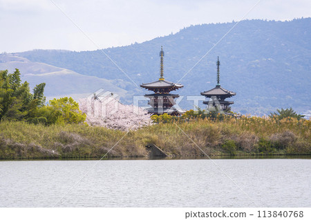 View of Yakushiji Temple across the large pond in Nishinokyo (Katsumata pond) - Cherry blossoms in full bloom 113840768