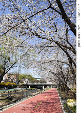沿河騎行路線（松坡圖雷吉聖川路線）[首爾/松坡區] 113840906