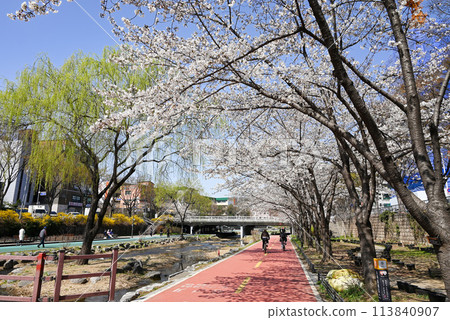 Riverside Cycling Course (Songpa Dulle-gil Seongcheon Course) [Songpa-gu, Seoul] 113840907