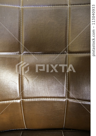 Detail of tanned animal skin background, decoration with skin 113840933