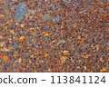 Rusty metal brown close up texture 113841124