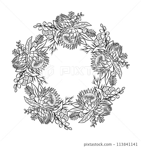 Hand drawn monochrome line art tropical protea flower round frame 113841141