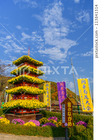 Chrysanthemums at the entertainment venue 113841314