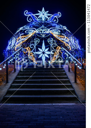 萬壽菊山公園燈光秀 萬壽菊山公園燈光秀 113841472