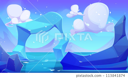 Arctic ocean winter landscape Arctic ocean winter landscape 113841874