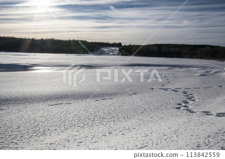 Storforsen in winter Storforsen in winter 113842559