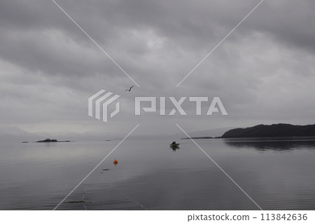 Fishing in Norway in a fog in the morning 113842636