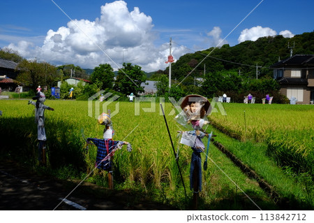 Scarecrow Festival [Oshima, Sagamihara City, September] 113842712