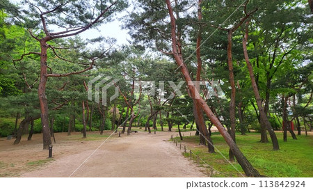 Royal tombs of Korea Royal tombs of Korea 113842924