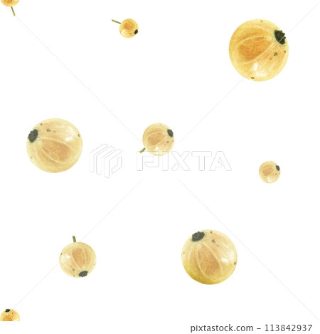Currant berry white watercolor drawing seamless border. Juicy delisious ripe fruit summer illustration. Sweet sour vitamin aquarelle isolated background. Ribes snowball yellow dessert decoration crop Currant berry white watercolor drawing seamless border. Juicy delisious ripe fruit summer illustration. Sweet sour vitamin aquarelle isolated background. Ribes snowball yellow dessert decoration crop 113842937