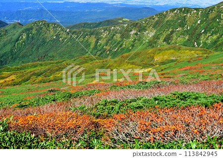 秋葉盛開的月山 113842945