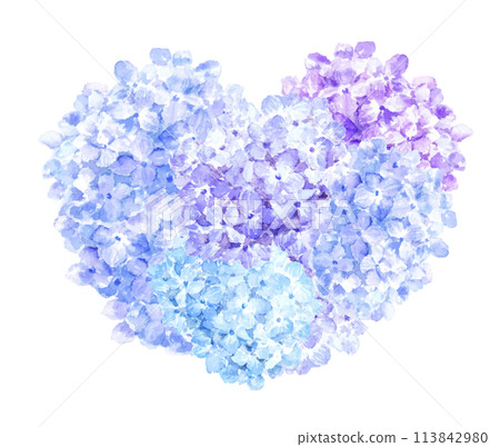 Heart-shaped hydrangea painted in watercolor 113842980
