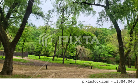 Royal tombs of Korea 113843046