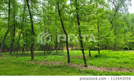 Royal tombs of Korea 113843056