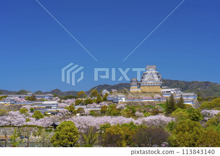 Cherry blossoms in full bloom and Himeji Castle tower (view from Eglese Himeji) Cherry blossoms in full bloom and Himeji Castle tower (view from Eglese Himeji) 113843140