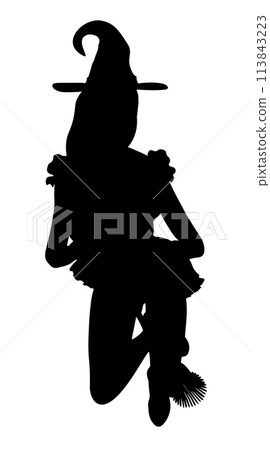 Witch on broom silhouette Witch on broom silhouette 113843223