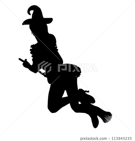 Witch on broom silhouette Witch on broom silhouette 113843235