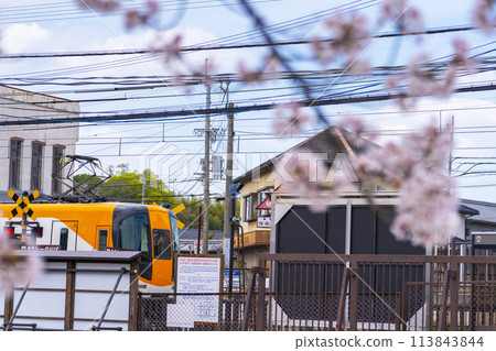 Kintetsu Nishinokyo Station and cherry blossoms in full bloom Kintetsu Nishinokyo Station and cherry blossoms in full bloom 113843844