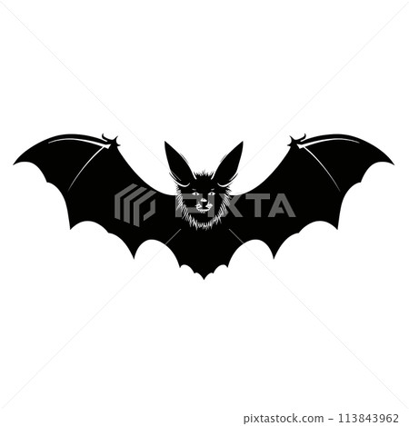 Black silhouette of a bat on white background. 113843962