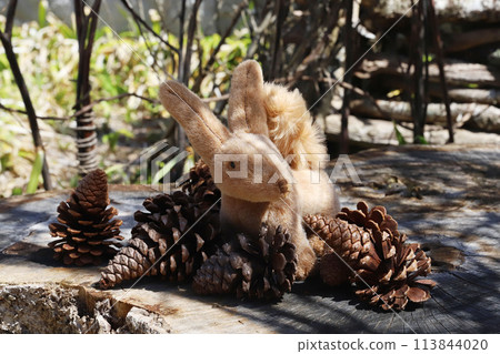 箱根小王子博物館 箱根小王子博物館 113844020