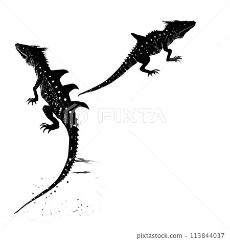 Black silhouette of lizards on white background. Black silhouette of lizards on white background. 113844037