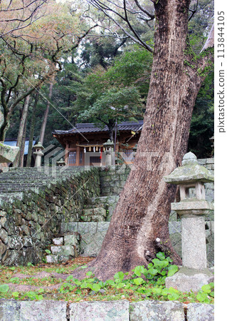 March 23, 2024: Tsushima Island Travel Hachimangu Shrine, Tsushima Island, Nagasaki Prefecture, Japan 113844105