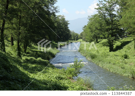 Azumino's river in summer, brimming with greenery 113844387