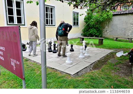 People who enjoy playing big chess People who enjoy playing big chess 113844659