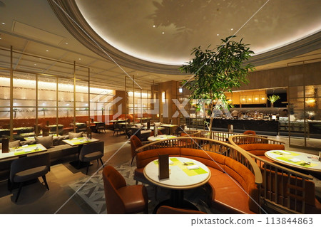 豪華飯店內的時尚餐廳 豪華飯店內的時尚餐廳 113844863