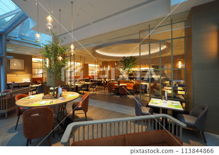 A stylish restaurant in a luxury hotel 113844866