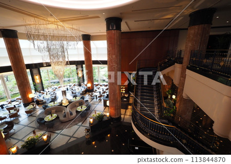 Stylish lobby of a luxury hotel Stylish lobby of a luxury hotel 113844870